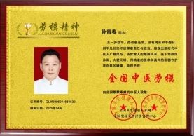 弘扬劳模精神  争当时代先锋  国医楷模——孙青春