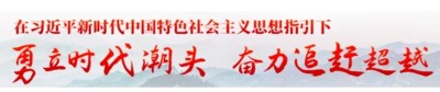 寻华夏之魂，探东方文脉根源                        威山道人—龙的传人