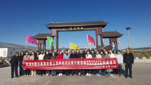 阅兵展国威•文化铸灵魂—— 榆阳区领头雁——思耀国
