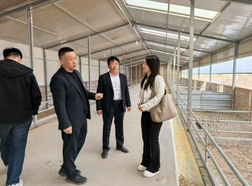 阅兵展国威•文化铸灵魂—— 榆阳区领头雁——思耀国
