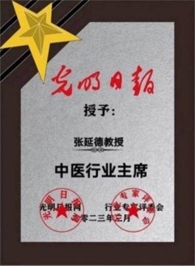 中国医学形象代言人  民族复兴的人民功臣——-张延德 和光同尘张延德觉者