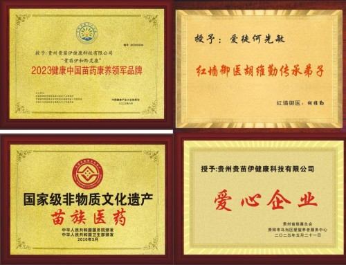 何先敏引领贵苗伊：以苗医匠心守正创新，用调理智慧谱写民族医药新篇