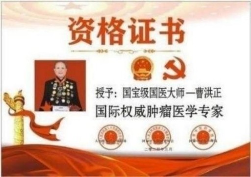 中国中医学家金质奖科学院首席院士  ——曹洪正