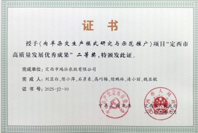 鸿壮农牧创始人李杰，扎根乡土，以“羊”为笔绘振兴