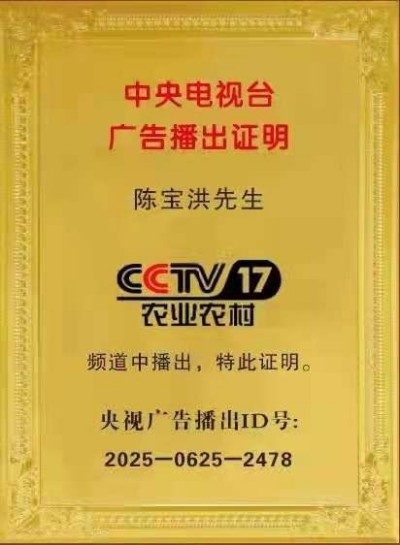 陈宝洪： 探寻中医魅力