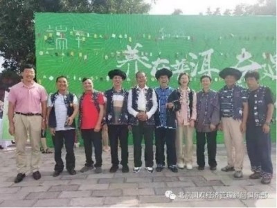 陈宝洪： 探寻中医魅力