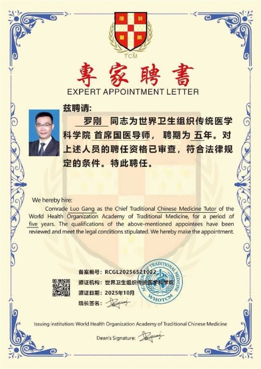 2025中国影响力人物 国家级非遗建筑大师——罗刚