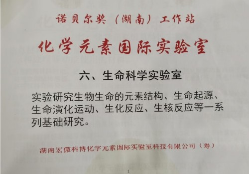 【诺贝尔奖孵化中心会客厅】-【诺贝尔化学奖孵化课题：新化学元素周期表-《宏观元素周期表》】
