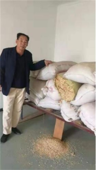 国宝级中医——夏孔彪