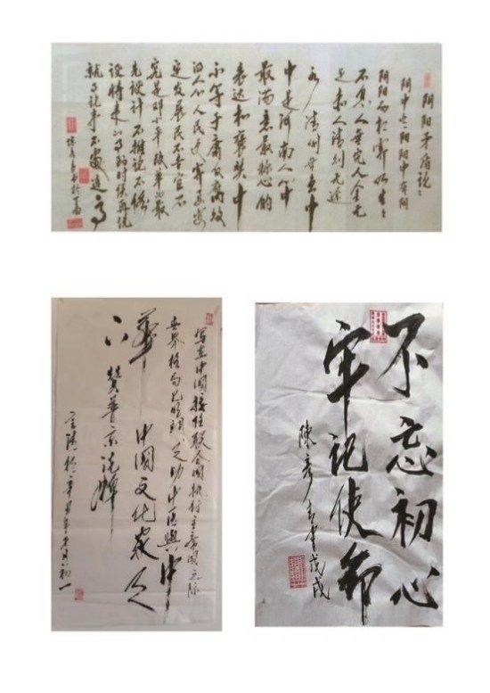 喜迎2026元旦人物贺岁特别报道 鼻炎克星北京中医院院长——陈彦青