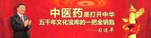《以领袖风范格局、定天下医术格局》 世界中医药联合会传统医学博士——马忠义院长